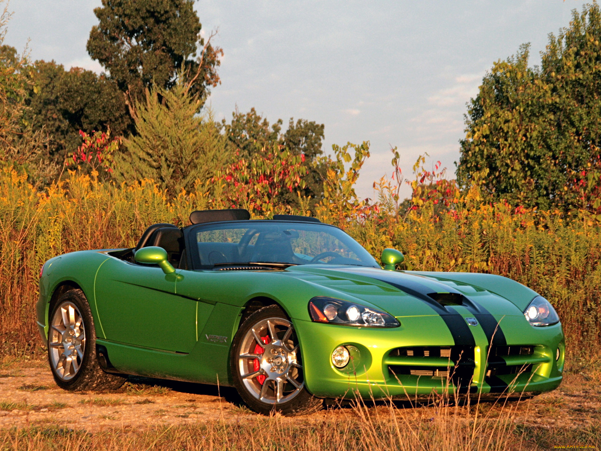, dodge